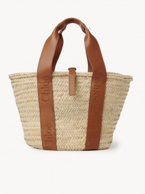 Baskets Chloe Sense Medium Marrom | CHE-SR13648