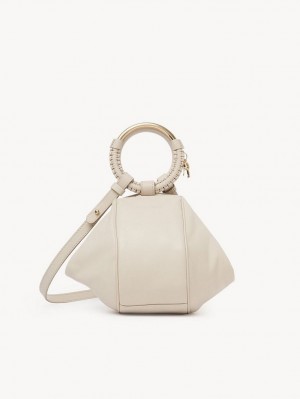 Bolsas Crossbody Chloe Hana Wristlet Bege | CHE-SR14720