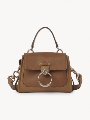 Bolsas Crossbody Chloe Mini Tess Day Marrom | CHE-SR13599