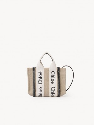 Bolsas Crossbody Chloe Mini Woody Branco Azuis | CHE-SR13511