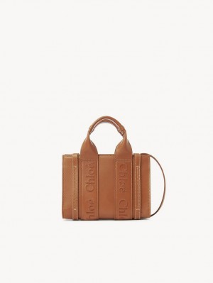 Bolsas Crossbody Chloe Mini Woody Marrom | CHE-SR13559