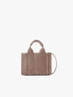 Bolsas Crossbody Chloe Mini Woody Marrom | CHE-SR13569