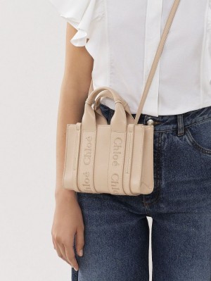 Bolsas Crossbody Chloe Mini Woody Rosa | CHE-SR13562