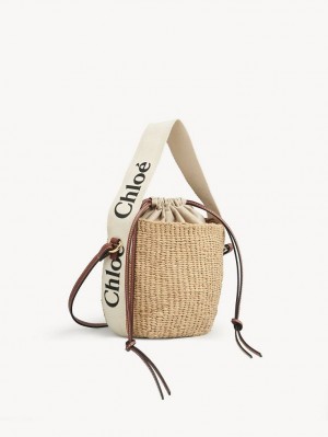 Bolsas Crossbody Chloe Small Woody Basket Branco | CHE-SR13609