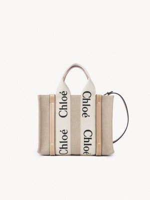 Bolsas Crossbody Chloe Small Woody Branco Bege | CHE-SR13490