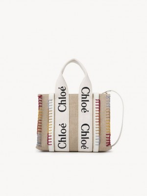 Bolsas Crossbody Chloe Small Woody Branco | CHE-SR13514