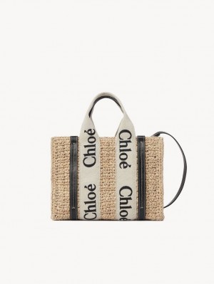 Bolsas Crossbody Chloe Small Woody Marrom | CHE-SR13625