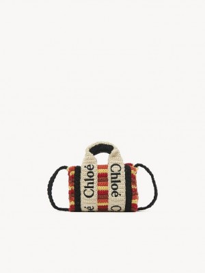 Bolsas Crossbody Chloe Woody Nano Multicoloridas Marrom | CHE-SR13523