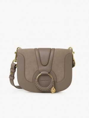 Bolsas De Ombro Chloe Hana Cinzentas | CHE-SR14645