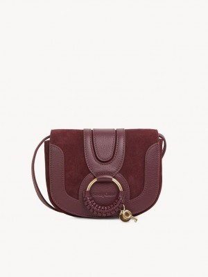 Bolsas Mini Chloe Hana Marrom | CHE-SR14725