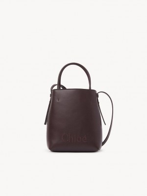 Bolsas Mini Chloe Sense Tote Azul Claro | CHE-SR13735