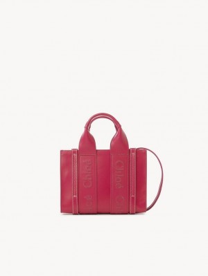 Bolsas Mini Chloe Woody Tote 1 Rosa | CHE-SR13700