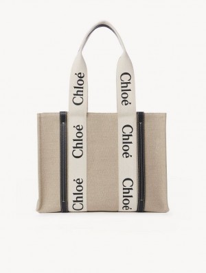 Bolsas Tote Chloe Medium Woody Branco Azuis | CHE-SR13356