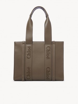 Bolsas Tote Chloe Medium Woody Verdes | CHE-SR13340