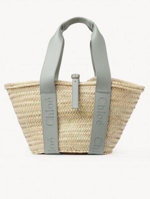 Bolsas Tote Chloe Sense Medium Basket Verdes | CHE-SR13383