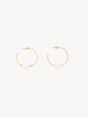 Brincos Chloe Darcey Hoop Douradas Branco | CHE-SR14441