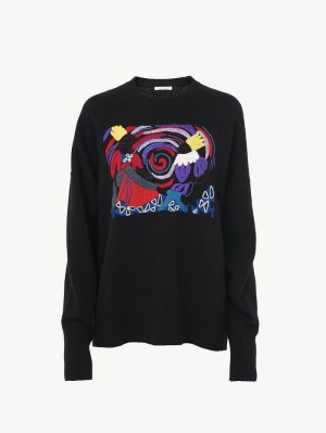 Knitwear Chloe Embroidered Multicoloridas | CHE-SR13955