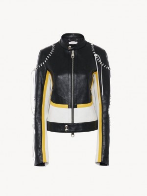 Leather Chloe Biker Jacket Pretas Amarelas | CHE-SR14108