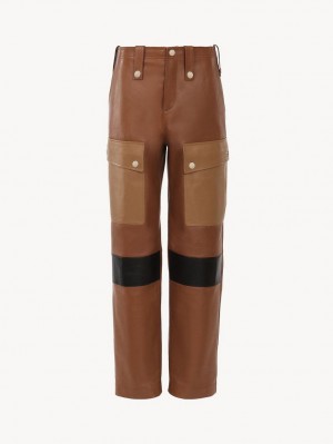 Leather Chloe Cargo Pants Multicoloridas Marrom | CHE-SR14110