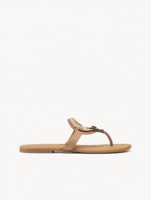 Sapatos Rasos Chloe Hana Flip-flop Marrom | CHE-SR14818