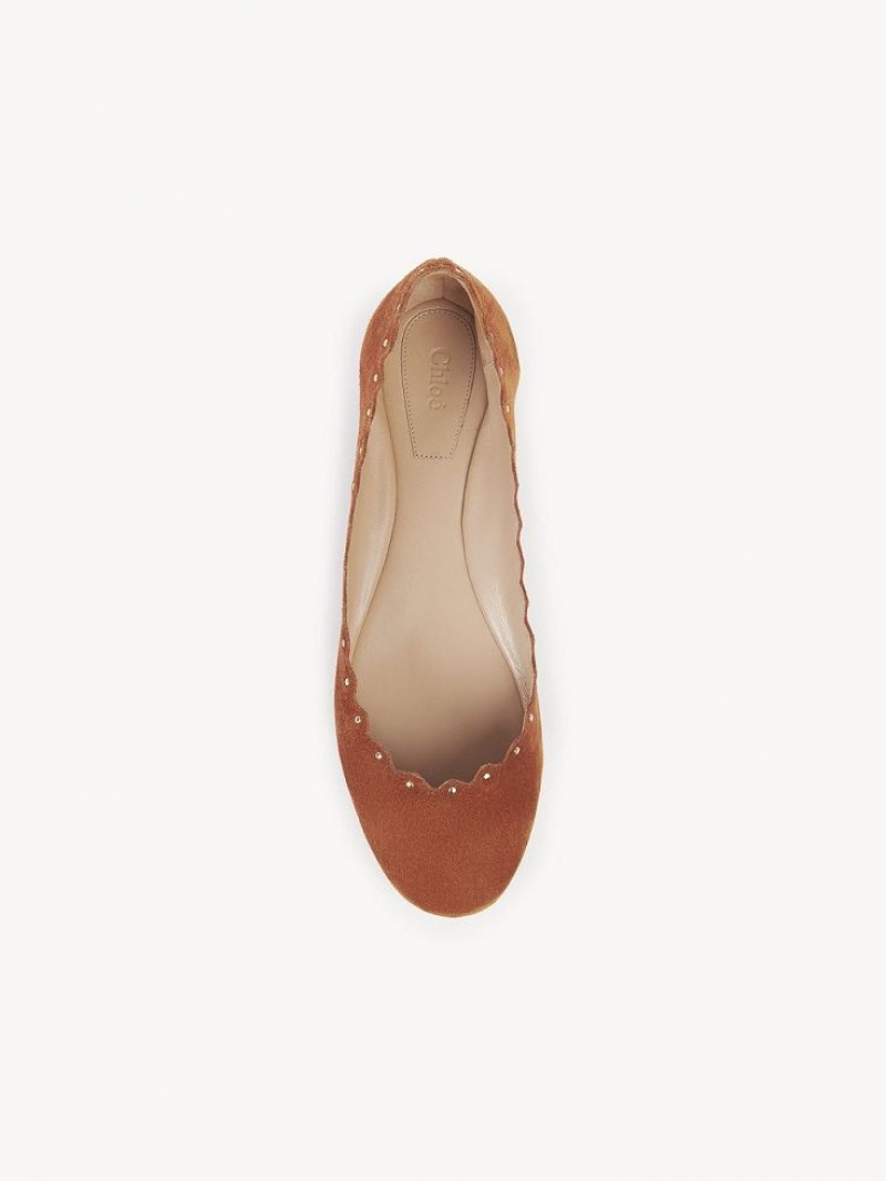 Ballet Flat Chloe Lauren Marrom | CHE-SR14254