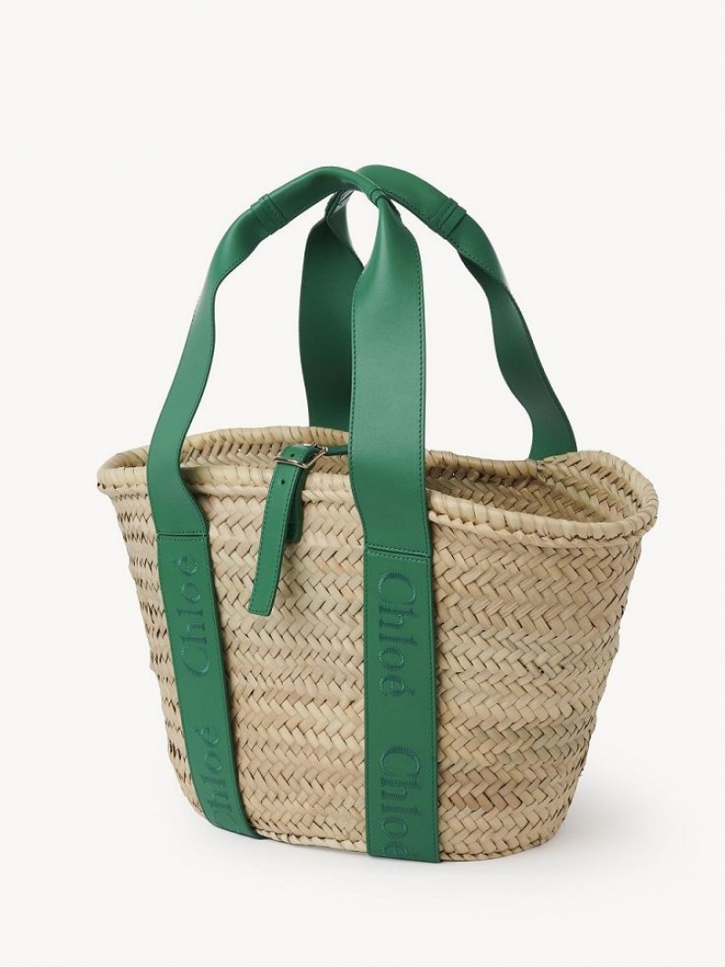 Baskets Chloe Sense Medium Verdes | CHE-SR13641