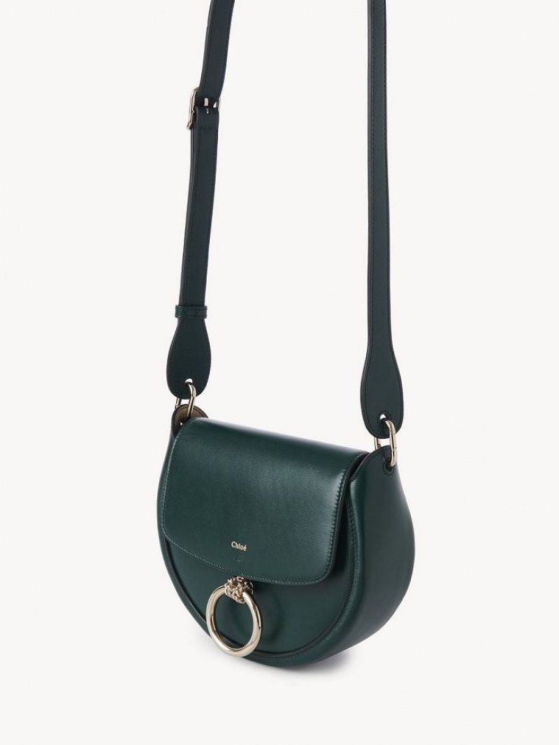 Bolsas Crossbody Chloe Arlène Small Crossbody Verdes | CHE-SR13463