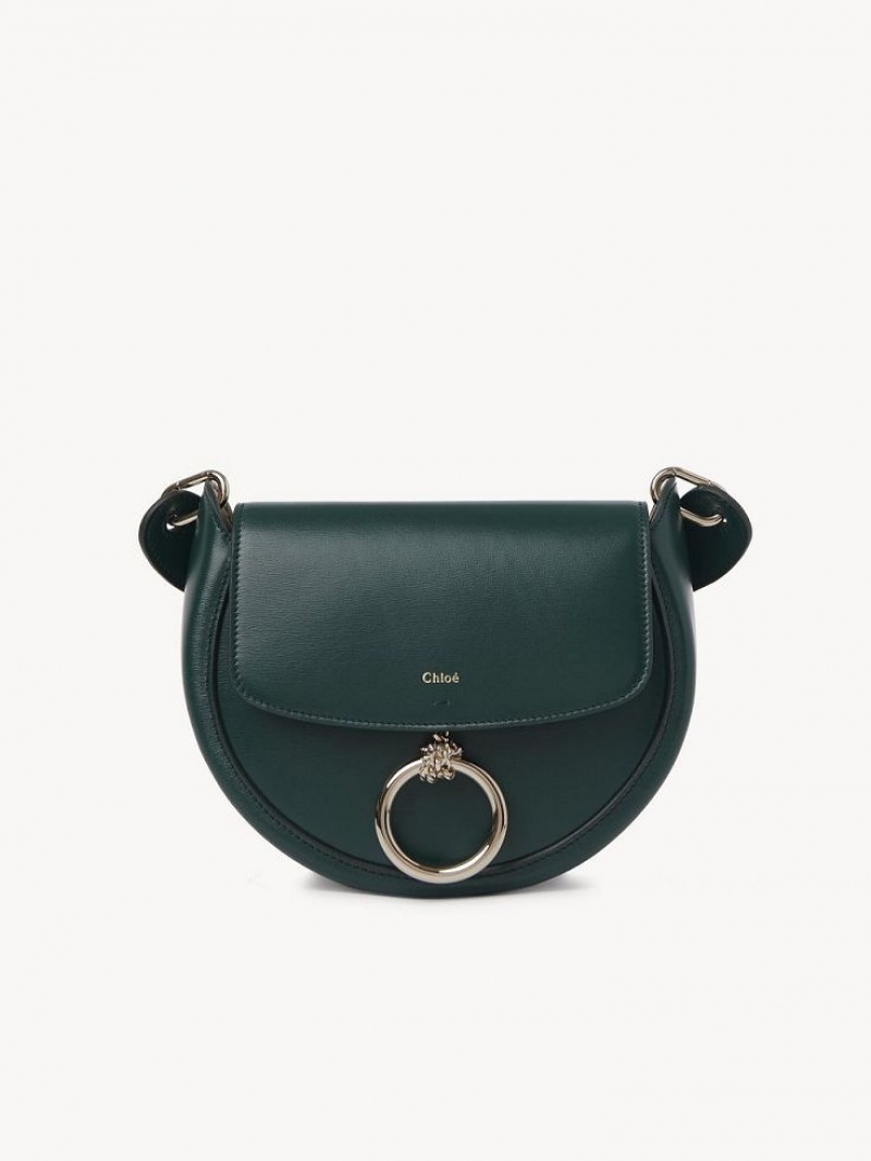 Bolsas Crossbody Chloe Arlène Small Crossbody Verdes | CHE-SR13463