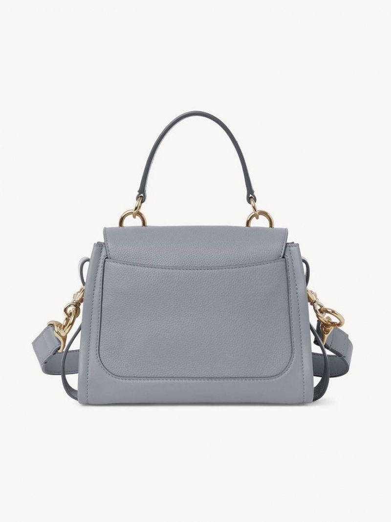 Bolsas Crossbody Chloe Mini Tess Day Azuis | CHE-SR13598