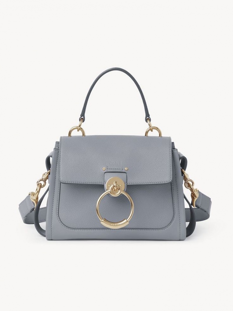 Bolsas Crossbody Chloe Mini Tess Day Azuis | CHE-SR13598