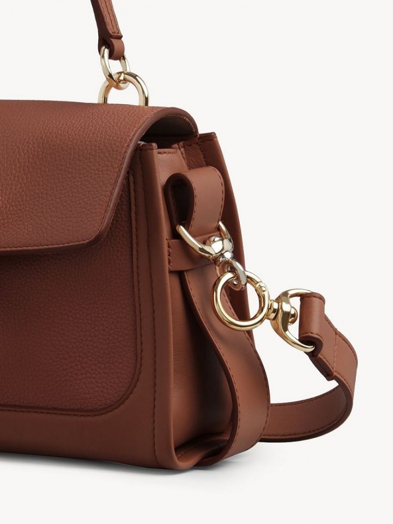 Bolsas Crossbody Chloe Mini Tess Day Marrom | CHE-SR13479