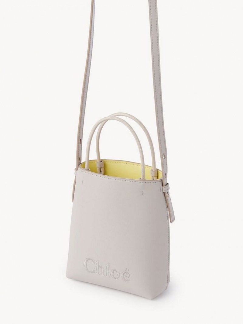 Bolsas Crossbody Chloe Sense Micro Cinzentas | CHE-SR13581