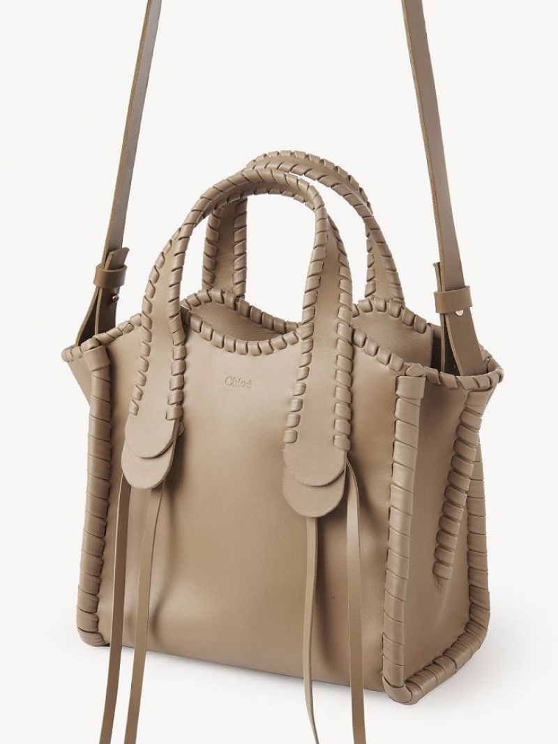 Bolsas Crossbody Chloe Small Mony Marrom | CHE-SR13602