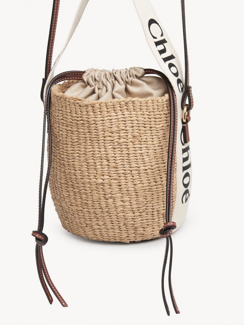 Bolsas Crossbody Chloe Small Woody Basket Branco | CHE-SR13609