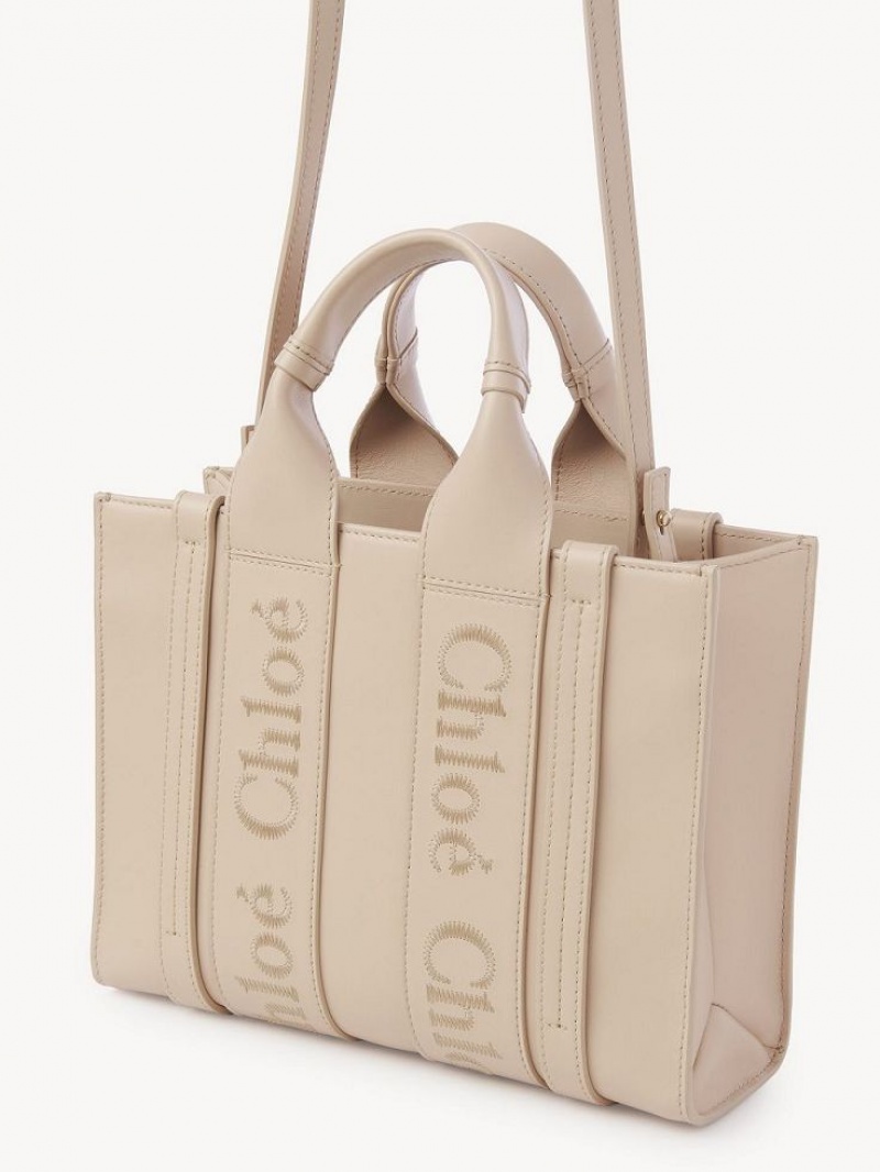 Bolsas Crossbody Chloe Small Woody Rosa | CHE-SR13556