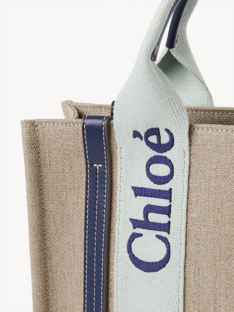 Bolsas Crossbody Chloe Small Woody Verdes Azuis | CHE-SR13568