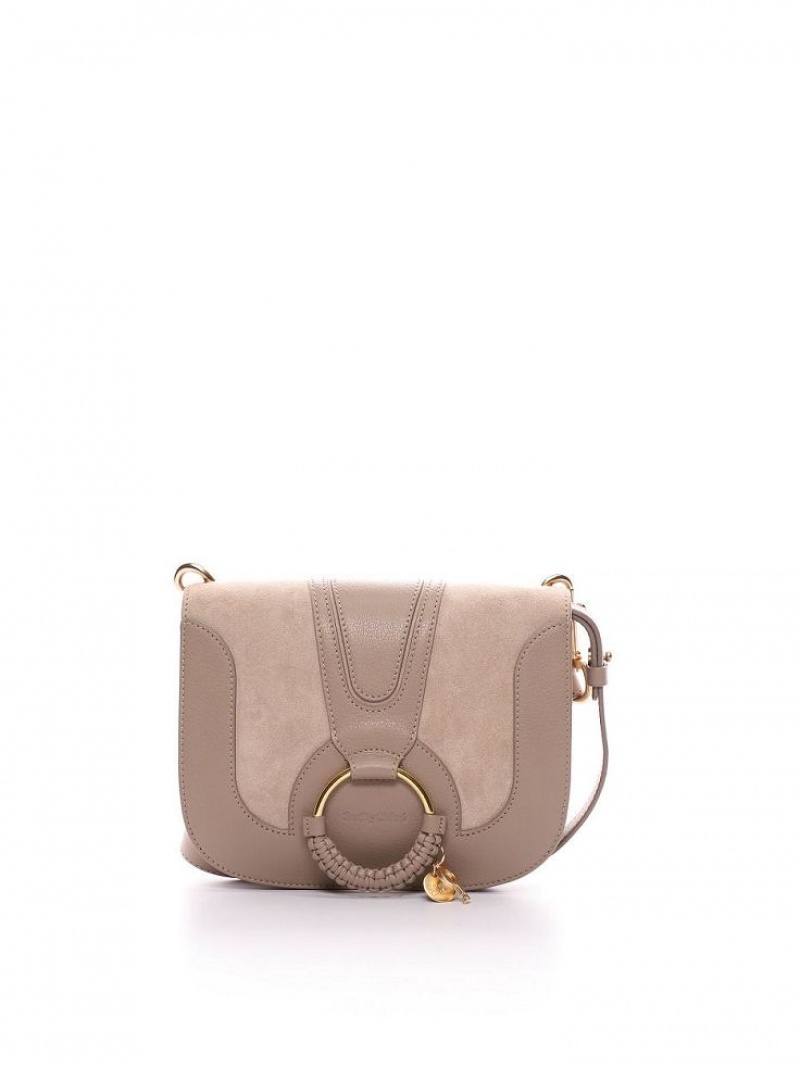 Bolsas De Ombro Chloe Hana Cinzentas | CHE-SR14645