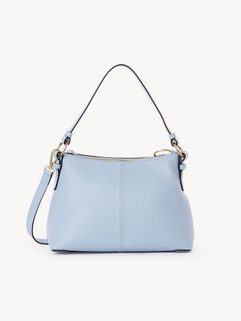 Bolsas De Ombro Chloe Joan Small Azuis | CHE-SR14679