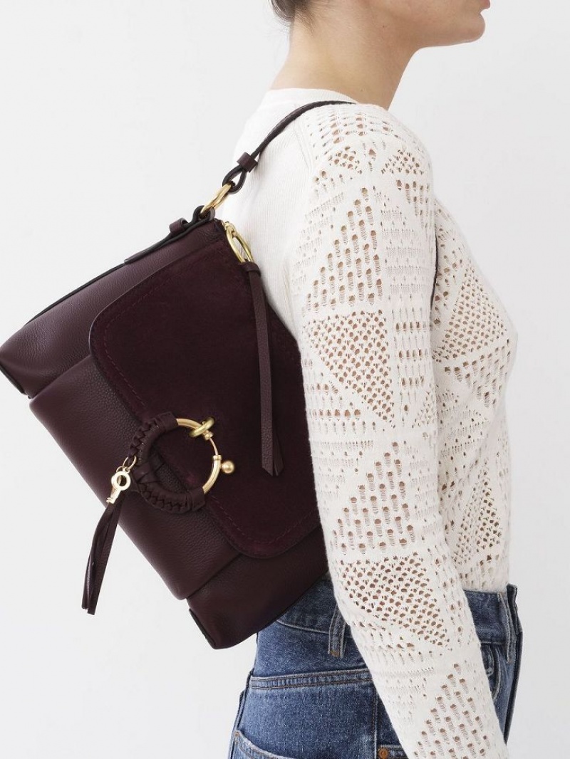 Bolsas De Ombro Chloe Joan Small Bordeaux | CHE-SR14650