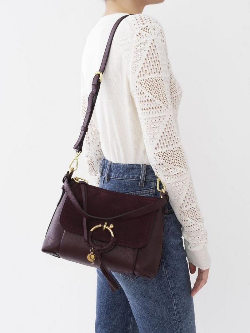 Bolsas De Ombro Chloe Joan Small Bordeaux | CHE-SR14650