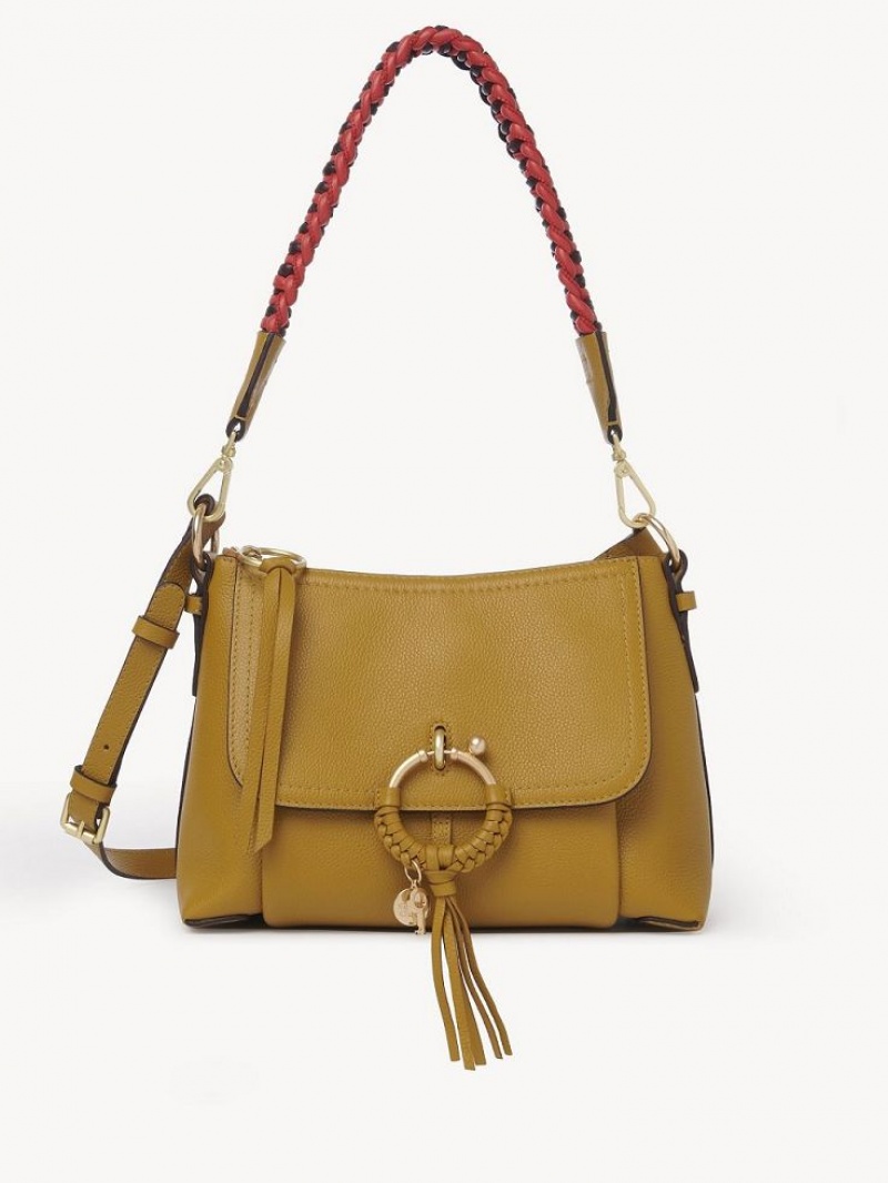 Bolsas De Ombro Chloe Joan Small Marrom | CHE-SR14648