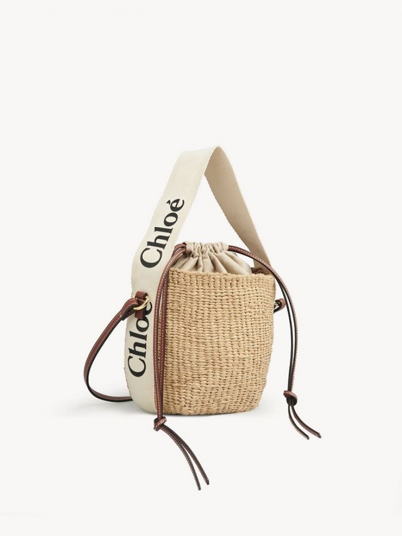 Bolsas Mini Chloe Small Woody Basket Branco | CHE-SR13659