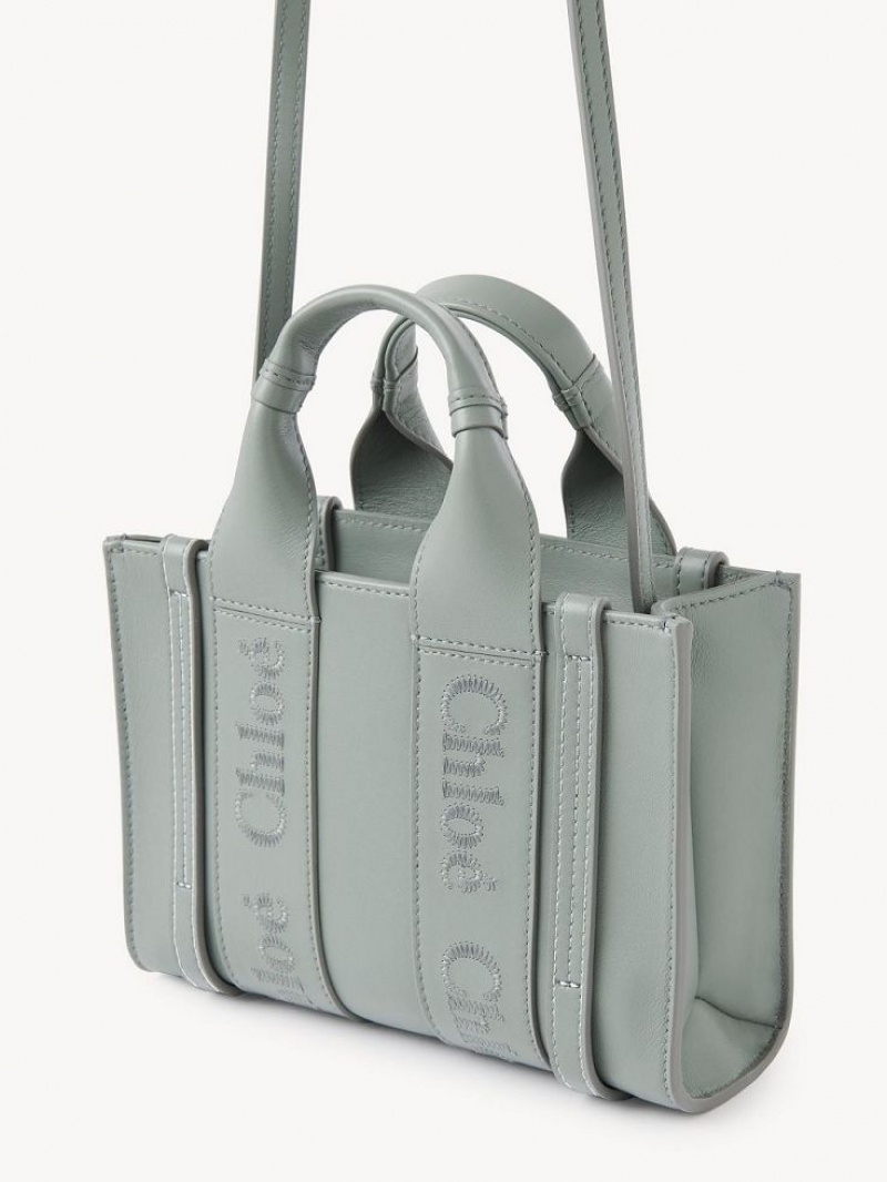 Bolsas Mini Chloe Woody Tote 1 Verdes | CHE-SR13697