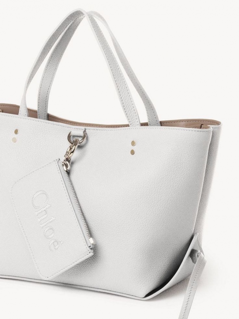 Bolsas Tote Chloe Sense Small East-west Branco | CHE-SR13328