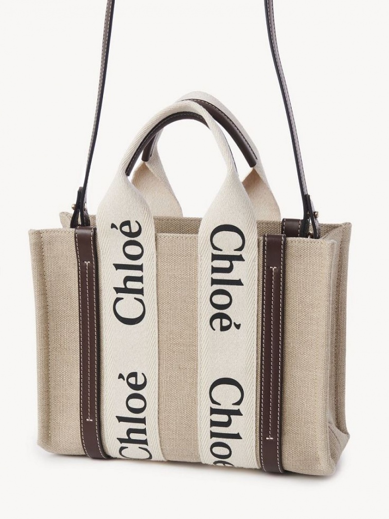 Bolsas Tote Chloe Small Woody Azul Claro | CHE-SR13361