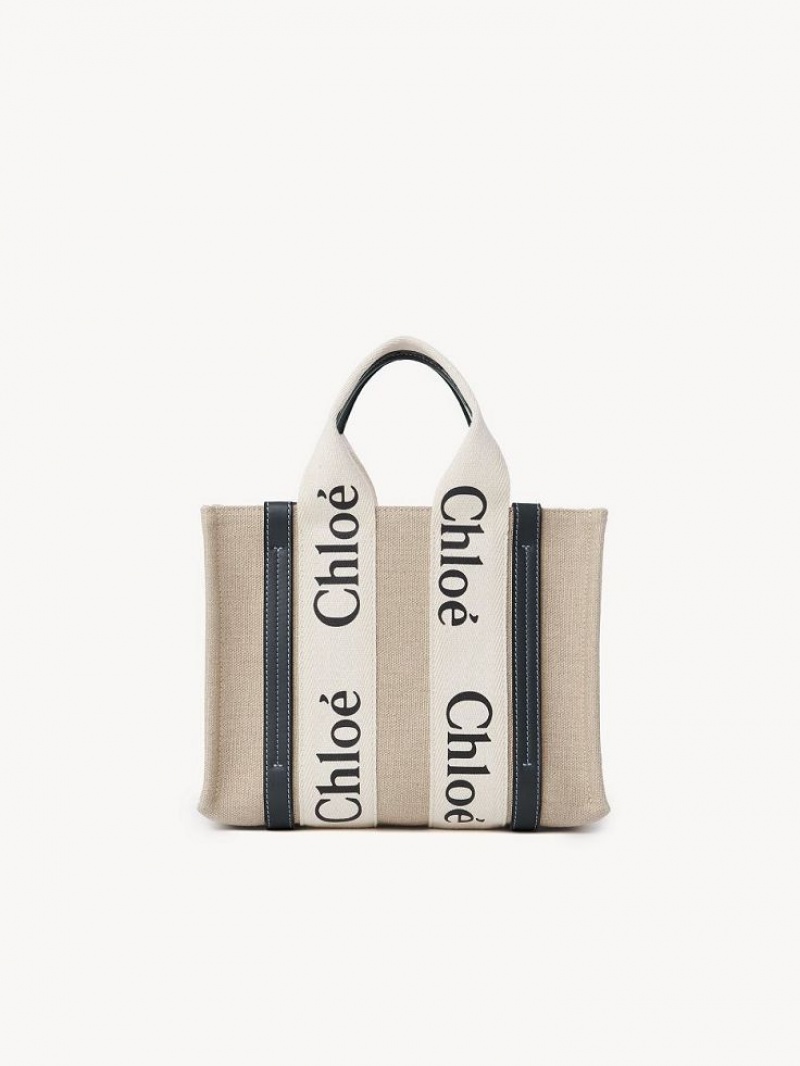 Bolsas Tote Chloe Small Woody Branco Azuis | CHE-SR13366