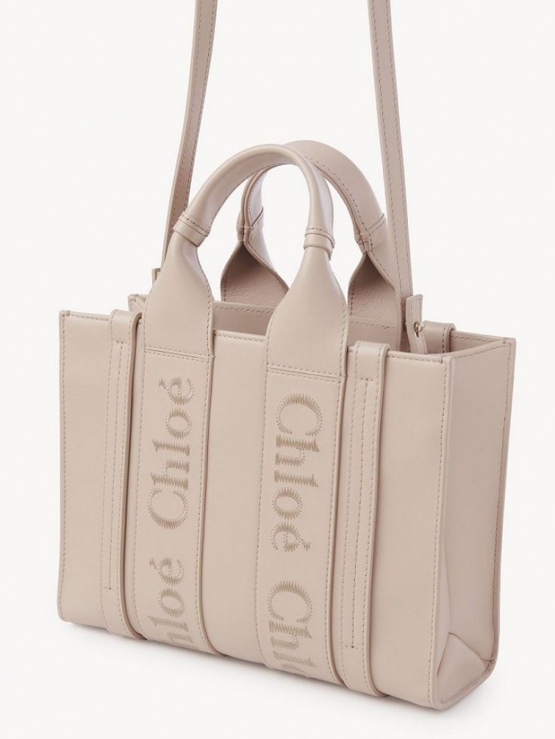 Bolsas Tote Chloe Small Woody Rosa | CHE-SR13374