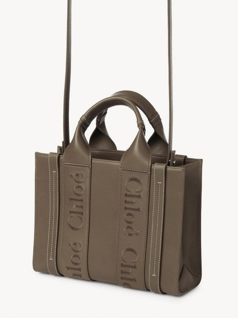 Bolsas Tote Chloe Small Woody Verdes | CHE-SR13339