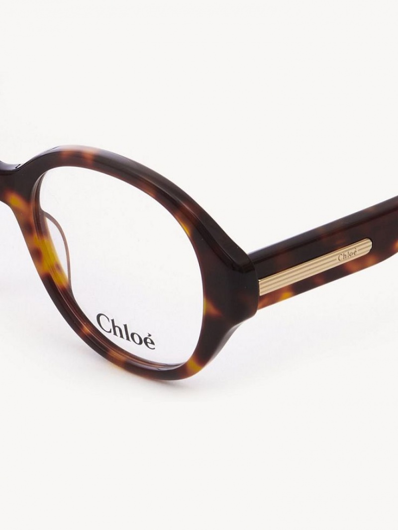 Eyeglasses Chloe Mirtha Havana | CHE-SR14583