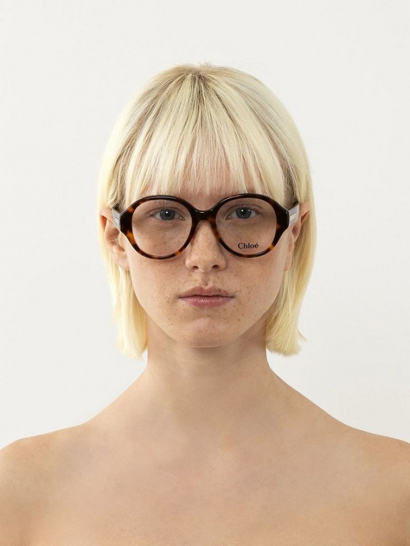 Eyeglasses Chloe Mirtha Havana | CHE-SR14583